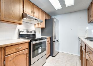 Photo 6: 604 2011 University Drive NW in Calgary: University Heights Apartment for sale : MLS®# A2009979