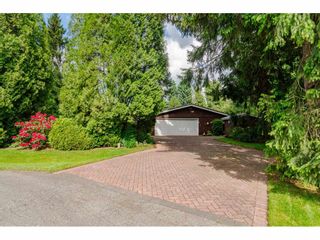 Photo 6: 4848 246A Street in Langley: Salmon River House for sale : MLS®# R2530745