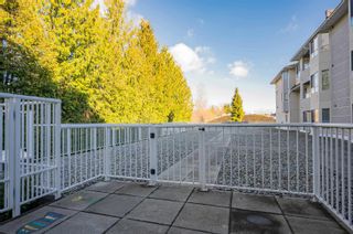 Photo 12: 102 6440 197 Street in Langley: Willoughby Heights Condo for sale : MLS®# R2872059
