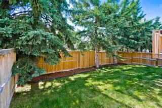 Photo 5: 336D Silvergrove Place NW in Calgary: Silver Springs Detached for sale : MLS®# A1199863