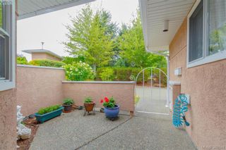 Photo 14: 1 3049 Brittany Dr in VICTORIA: Co Sun Ridge Row/Townhouse for sale (Colwood)  : MLS®# 769248