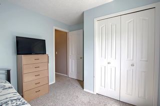 Photo 29: 3406 604 8 Street SW: Airdrie Apartment for sale : MLS®# A1246161