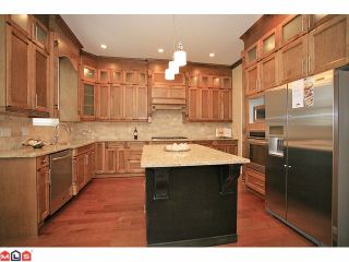 Photo 5: 7783 211A ST in Langley: Willoughby Heights House for sale in "Yorkson South" : MLS®# F1125790