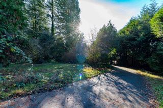 Photo 3: 2539 ROSEBERY Avenue in West Vancouver: Queens Land for sale : MLS®# R2689274