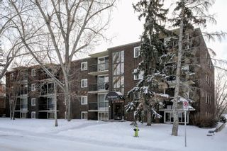 Photo 16: 308 635 57 Avenue SW in Calgary: Windsor Park Apartment for sale : MLS®# A1168551