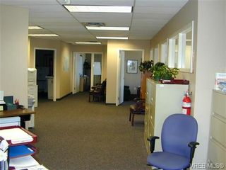 Photo 5: 304/305 830 Shamrock St in VICTORIA: SE Quadra Office for sale (Saanich East)  : MLS®# 717364