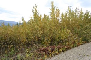 Photo 9: Lot 82 Sunset Drive: Eagle Bay Land Only for sale (Shuswap)  : MLS®# 10186646