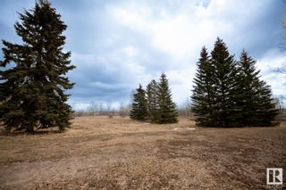 Photo 5: 23246 TWP  RD 521A: Rural Strathcona County Vacant Lot/Land for sale : MLS®# E4363356