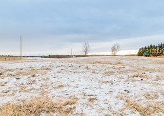 Photo 15: 31152 TWP RD 262 (Lochend Road) in Rural Rocky View County: Rural Rocky View MD Residential Land for sale : MLS®# A1162649