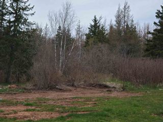 Photo 3: VL Hunter Road in West Wentworth: 103-Malagash, Wentworth Vacant Land for sale (Northern Region)  : MLS®# 202110930