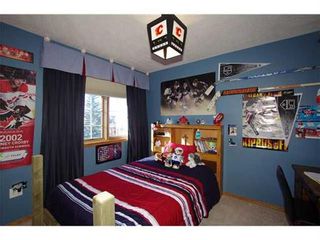 Photo 10: 220 DOUGLAS WOODS Point SE in Calgary: Douglasdale/Glen Residential for sale ()  : MLS®# C3604500