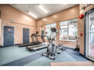 Photo 19: 404 1200 EASTWOOD Street in Coquitlam: North Coquitlam Condo for sale in "LAKESIDE TERRACE" : MLS®# V1123537