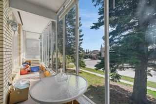 Photo 3: 4836 Dalhousie Drive NW in Calgary: Dalhousie Semi Detached (Half Duplex) for sale : MLS®# A2131072