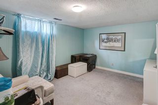 Photo 43: 89 Walnut Drive SW in Calgary: Wildwood Detached for sale : MLS®# A2050551