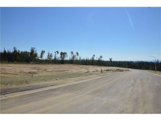 Photo 9: LOT 4 BELL Place in Mackenzie: Mackenzie -Town Land for sale in "BELL PLACE" : MLS®# N227296