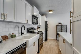 Photo 12: 303 920 Royal Avenue SW in Calgary: Lower Mount Royal Apartment for sale : MLS®# A1218812