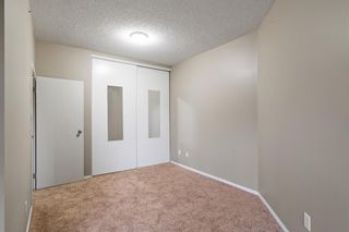 Photo 15: 2208 73 Erin Woods Court SE in Calgary: Erin Woods Apartment for sale : MLS®# A2002541