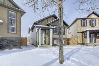 Photo 34: 250 Martinwood Place NE in Calgary: Martindale Detached for sale : MLS®# A1186078