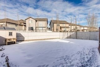 Photo 34: 18 Morningside Landing SW: Airdrie Detached for sale : MLS®# A2109366