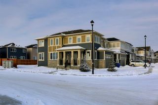 Photo 44: 133 Osborne Common: Airdrie Detached for sale : MLS®# A1170383