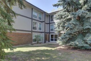 Photo 19: 111 860 Midridge Drive SE in Calgary: Midnapore Apartment for sale : MLS®# A1209104