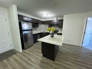 Photo 5: 7331 Terwillegar Drive in : Edmonton Apartment for rent