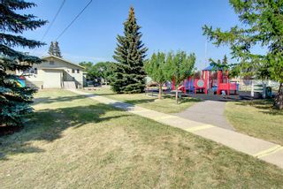 Photo 50: 906 Remington Road NE in Calgary: Renfrew Detached for sale : MLS®# A1246736