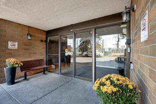 Photo 3: 313 9800 Horton Road SW in Calgary: Haysboro Apartment for sale : MLS®# A2006085