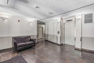 Photo 37: 212 2 Hemlock Crescent SW in Calgary: Spruce Cliff Apartment for sale : MLS®# A2080413
