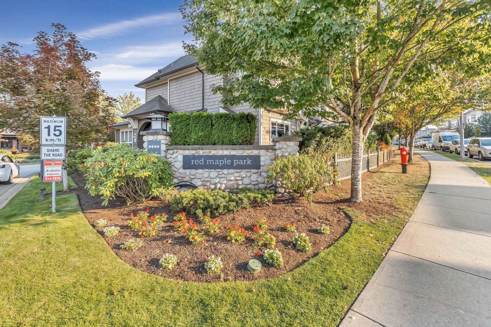Main Photo: 36 7938 209 Street in Langley: Willoughby Heights Townhouse for sale in "RED MAPLE PARK" : MLS®# R2816725