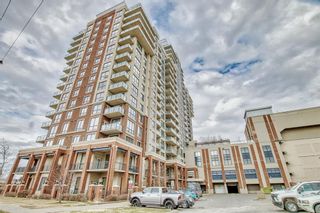 Photo 39: 1806 8710 Horton Road SW in Calgary: Haysboro Apartment for sale : MLS®# A2043585