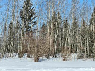 Photo 22: 231 Rge Rd, 624 Twp Rd: Rural Athabasca County Rural Land/Vacant Lot for sale : MLS®# E4281157