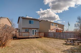 Photo 2: 23 Martindale Court NE in Calgary: Martindale Detached for sale : MLS®# A2037668