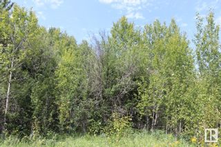 Photo 10: Northbrook Block 3 Lot 13: Rural Thorhild County Vacant Lot/Land for sale : MLS®# E4352498