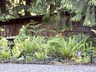 Photo 28: 116 BAYNES DRIVE in FANNY BAY: CV Union Bay/Fanny Bay Manufactured Home for sale (Comox Valley)  : MLS®# 702330