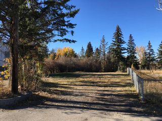 Photo 9: 4220 Elbow Drive SW in Calgary: Elboya Residential Land for sale : MLS®# A2078797