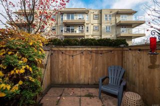 Photo 23: 101 1510 Hillside Ave in Victoria: Vi Oaklands Row/Townhouse for sale : MLS®# 919279