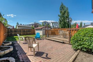 Photo 39: 333 Bridlewood Avenue SW in Calgary: Bridlewood Detached for sale : MLS®# A1244530