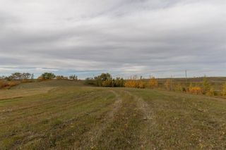 Photo 11: On TWP 41-2 in Rural Stettler No. 6, County of: Rural Stettler County Residential Land for sale : MLS®# A2037804