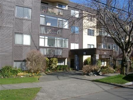 Photo 18: Photos: 105-1012 Collinson St in Victoria: Residential for sale (Canada)  : MLS®# 278518