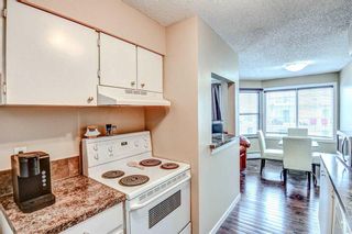 Photo 6: 303 630 57 Avenue SW in Calgary: Windsor Park Apartment for sale : MLS®# A2120444