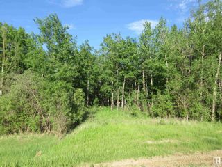Photo 7: RR 223 Twp Rd 612: Rural Thorhild County Rural Land/Vacant Lot for sale : MLS®# E4299650
