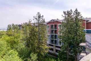 Photo 1: 106 2238 WHATCOM Road in Abbotsford: Abbotsford East Condo for sale in "Waterleaf" : MLS®# R2279471