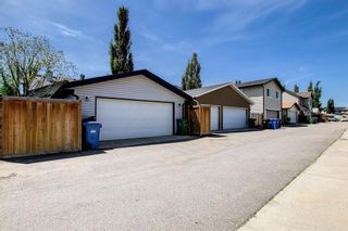 Photo 47: 130 Elgin View SE in Calgary: McKenzie Towne Detached for sale : MLS®# A1233378