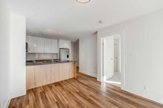 Photo 9: 302 510 Edmonton Trail NE in Calgary: Bridgeland/Riverside Apartment for sale : MLS®# A2094024