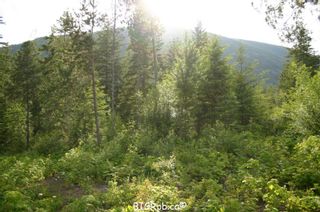 Photo 12: 190 SW Christison Road in Salmon Arm: Gleneden Vacant Land for sale : MLS®# 10118444
