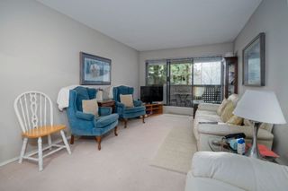 Photo 2: 216 423 AGNES Street in New Westminster: Downtown NW Condo for sale : MLS®# R2631999