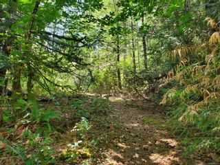 Photo 4: LOT A B & C Glinz Lake Rd in Sooke: Sk 17 Mile Land for sale : MLS®# 950717