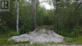 Photo 19: 335 4th Line in Gordon: Vacant Land for sale : MLS®# 2112596