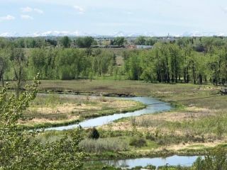 Photo 50: 974 LAKE PLACID Drive SE in Calgary: Lake Bonavista Detached for sale : MLS®# C4299089